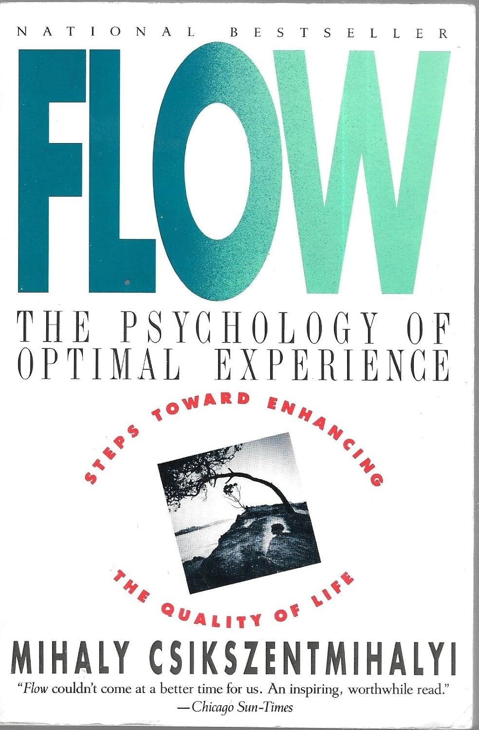 Copertina di «Flow: The Psychology of Optimal Experience» di Mihaly Csikszentmihalyi